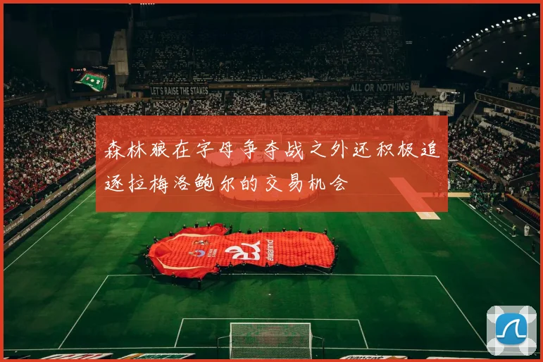 森林狼在字母争夺战之外还积极追逐拉梅洛鲍尔的交易机会