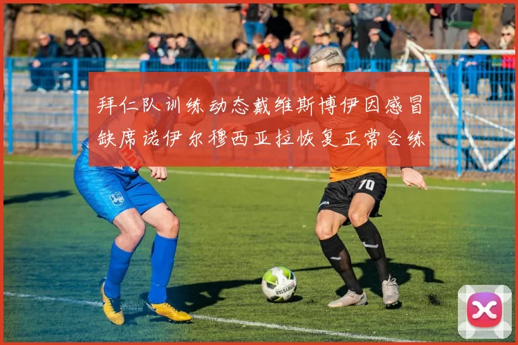 拜仁队训练动态戴维斯博伊因感冒缺席诺伊尔穆西亚拉恢复正常合练