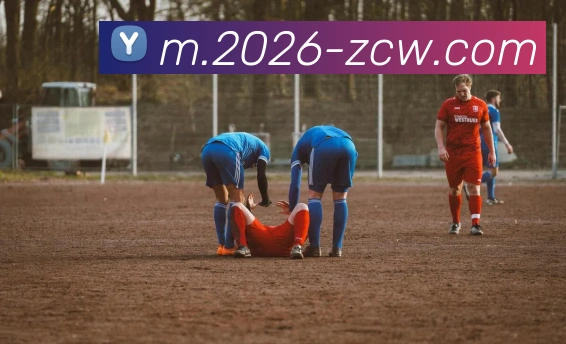 足彩网APP 封面图