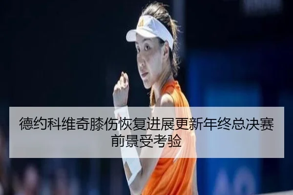 德约科维奇膝伤恢复进展更新年终总决赛前景受考验